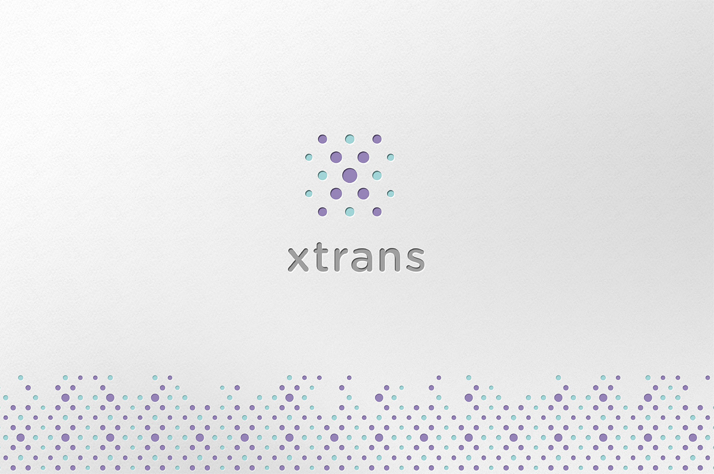 Xtrans 品牌LOGO