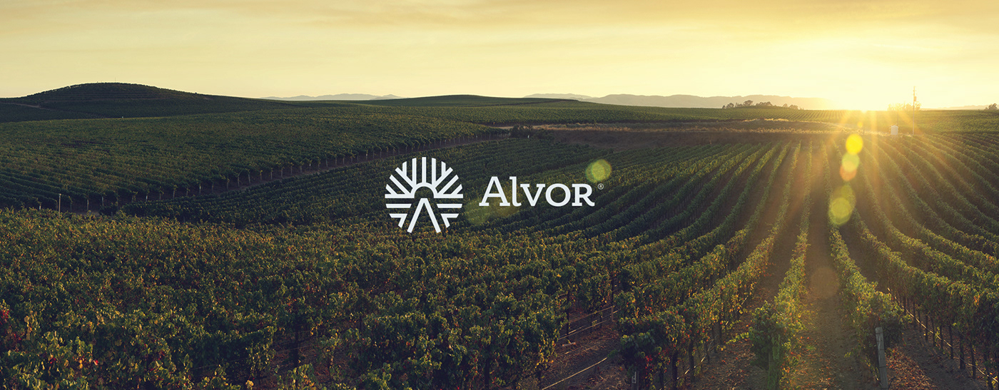 Alvor 品牌標志